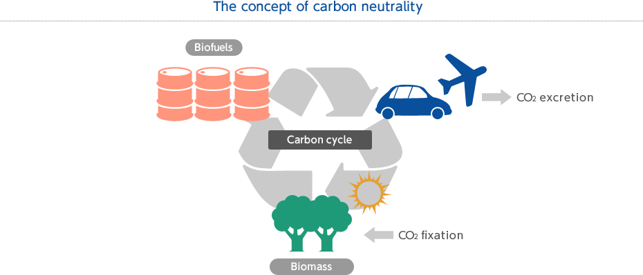 The concept of carbon neutrality