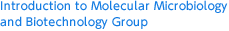 Introduction to Molecular Microbiology and Biotechnology Group