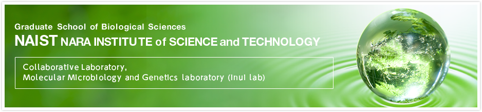 NAIST Collaborative Laboratory