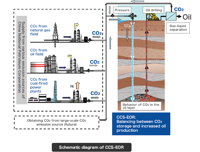 Schematic diagram of CCS-EOR